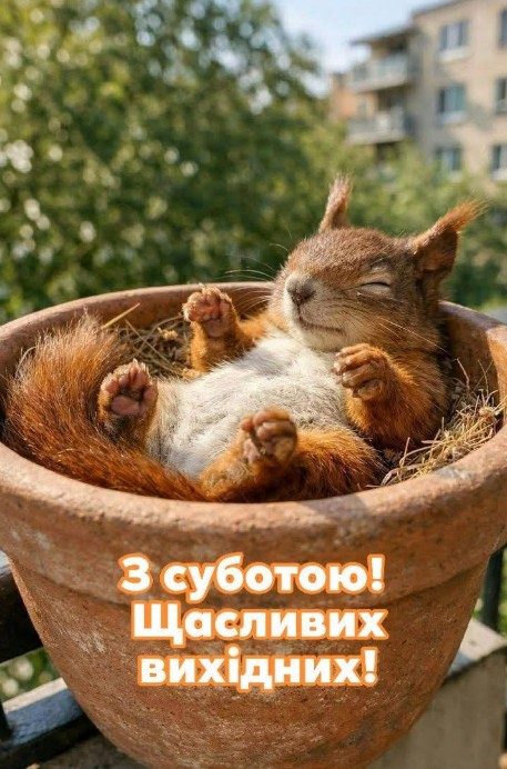 Листівка З суботою! Щасливих вихідних з милою білочкою