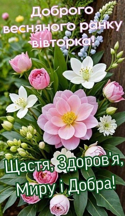 Листівка Доброго весняного ранку вівторка, квіти