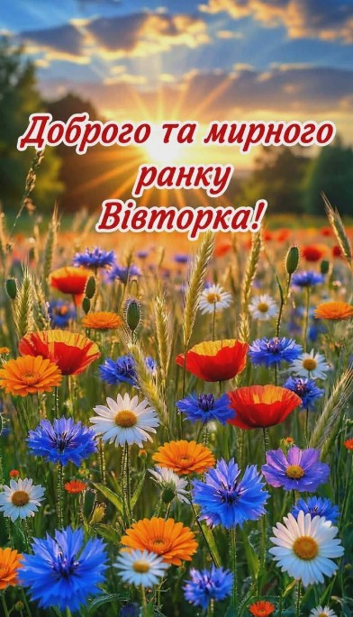 Листівка Доброго та мирного ранку вівторка