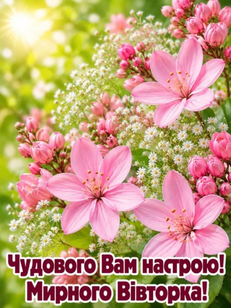 Листівка з побажанням гарного настрою та мирного вівторка