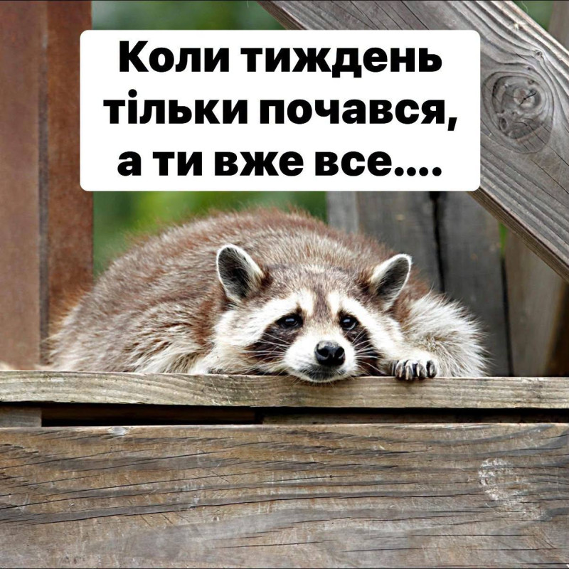 Листівка Коли тиждень тільки почався, а ти вже все