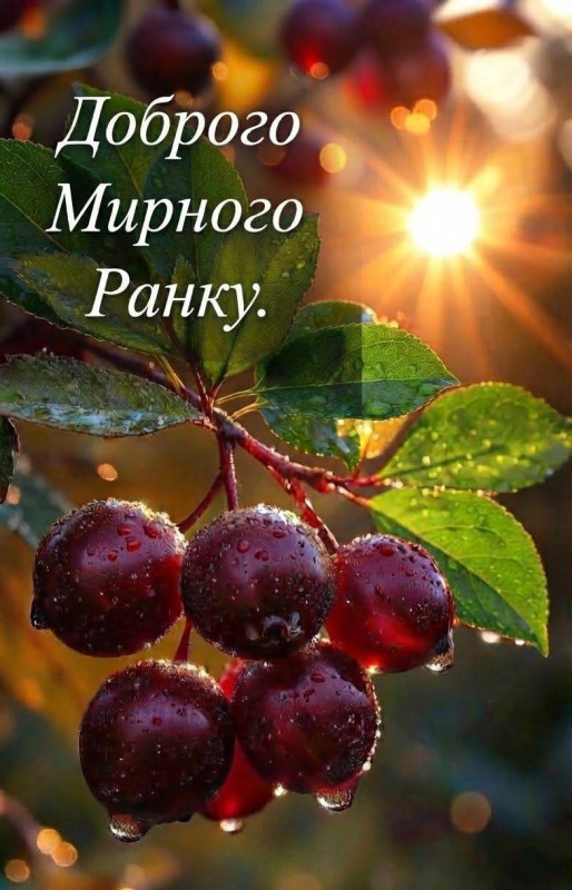 Листівка Доброго мирного ранку