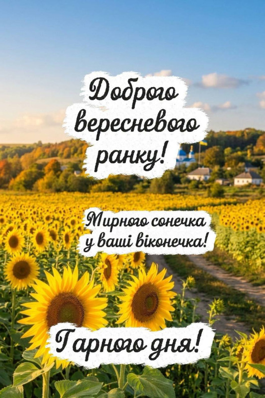 Листівка Доброго вересневого ранку з соняшниками