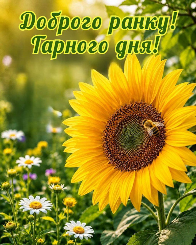 Листівка Доброго ранку та гарного дня
