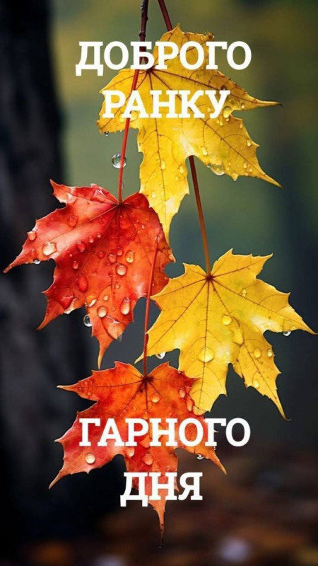 Листівка Доброго ранку та гарного дня з осіннім листям
