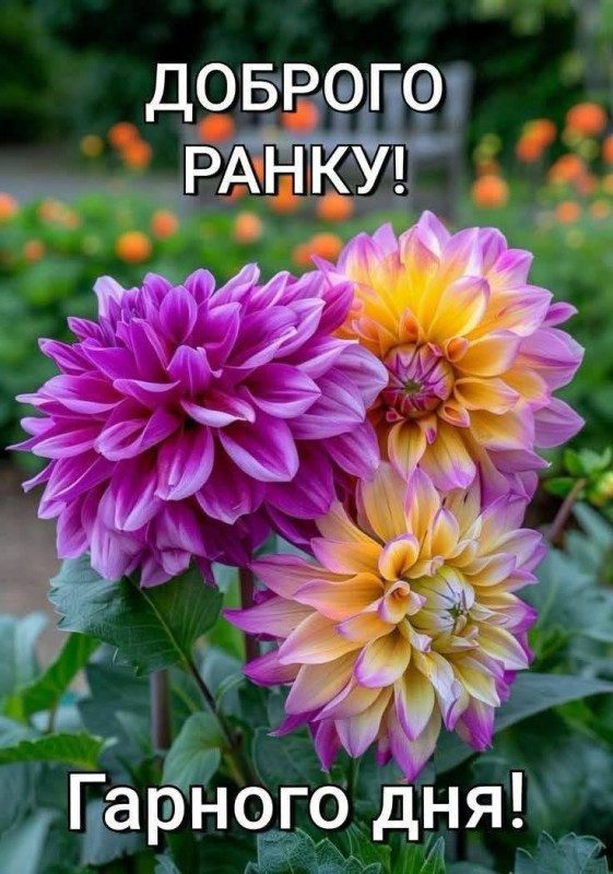 Доброго ранку та Гарного дня
