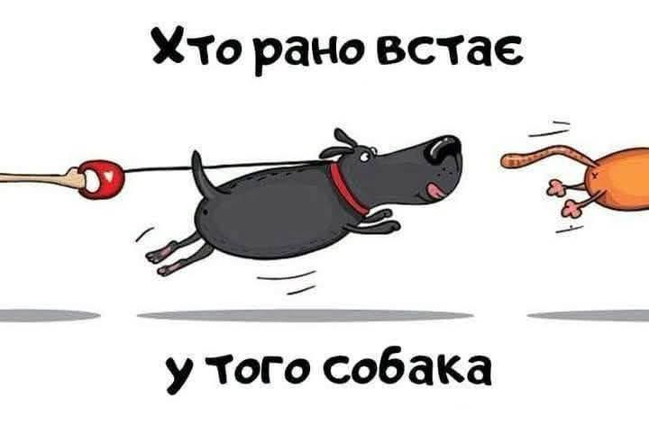 Листівка Хто рано встає, у того собака – кумедна ілюстрація