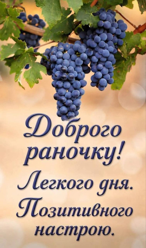 Доброго раночку, Легкого дня, Позитивного настрою на фоні стиглого винограду