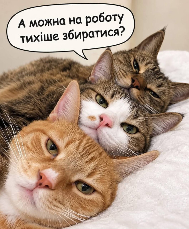 Листівка А можна на роботу тихіше збиратися?