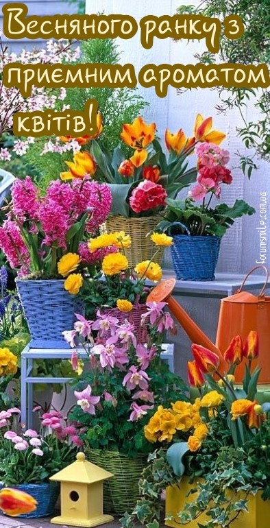 Картинка весняного ранку з приємним ароматом квітів!