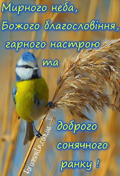 Мирного неба, Божого благословіння, гарного настрою та сонячного ранку!