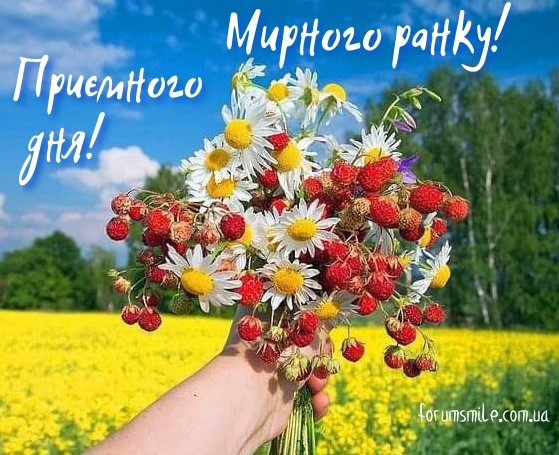 Мирного ранку! Приємного дня!