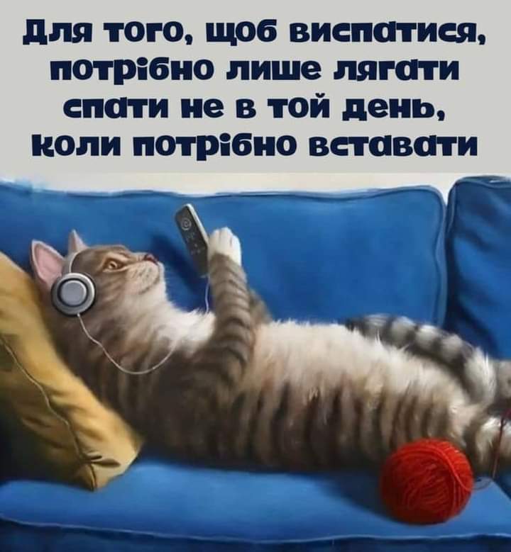 Народно-котяча мудрість на кожний ранок