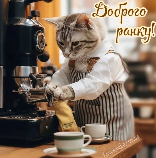 Доброго ранку від кота-баристи!