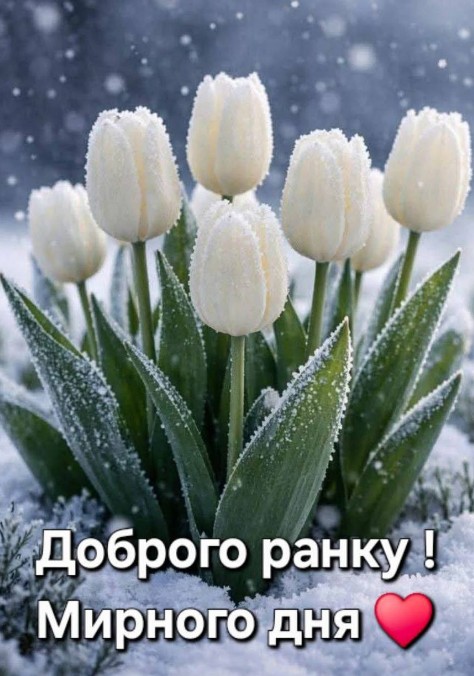 Доброго ранку! Мирного дня!