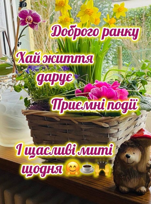 Доброго ранку і чудового настрою!