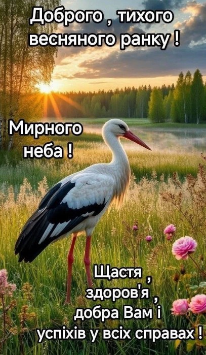 Листівка Доброго ранку: лелека, весняна природа та побажання