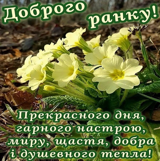 Листівка Доброго ранку з весняними квітами 