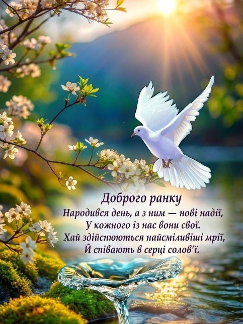 Листівка Доброго ранку: весняні квіти та білий голуб