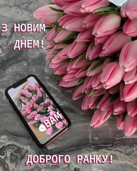 Букет ніжних рожевих тюльпанів та смартфон, на екрані якого відображено такі ж квіти з написом З новим днем та Доброго ранку