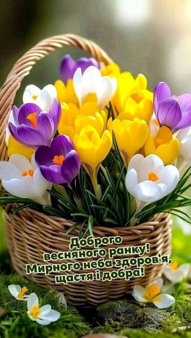 Листівка Доброго весняного ранку з крокусами