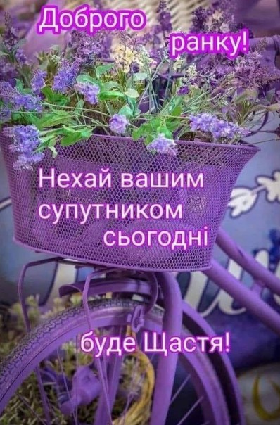 Листівка Доброго ранку: лаванда та побажання щастя