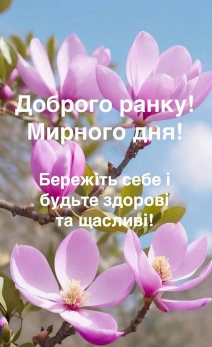 Листівка Доброго ранку: ніжні квіти магнолії