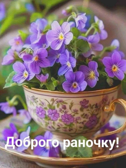 Листівка Доброго раночку з фіалками у горнятку