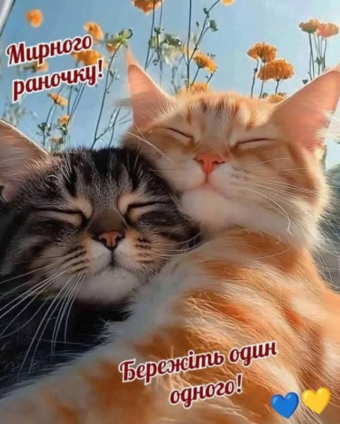 Листівка Мирного раночку! Бережіть один одного