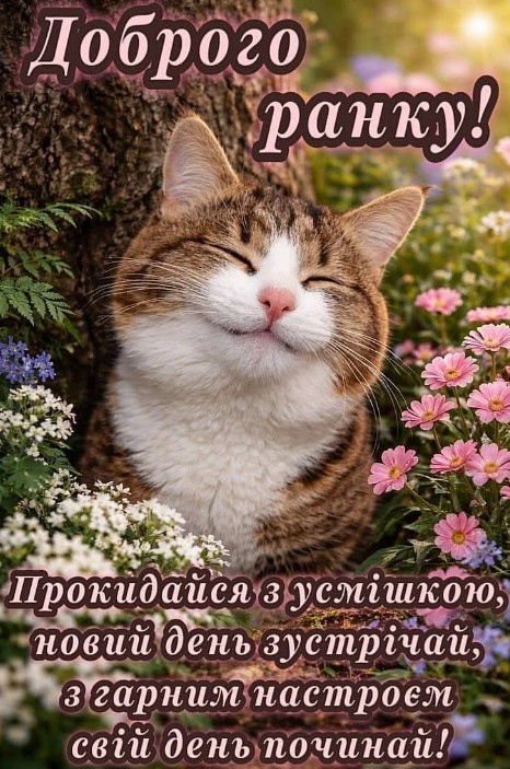 Картинка Доброго ранку