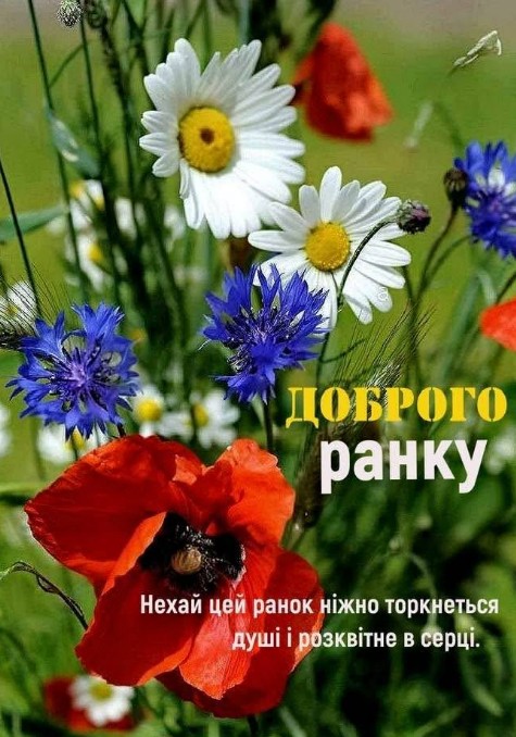 Красива листівка з побажанням доброго ранку