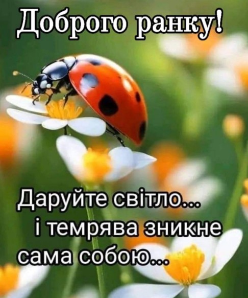 Листівка Доброго ранку