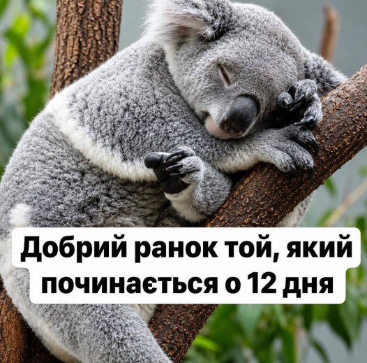 Листівка Добрий ранок зі сплячою коалою для тих, хто любить поспати