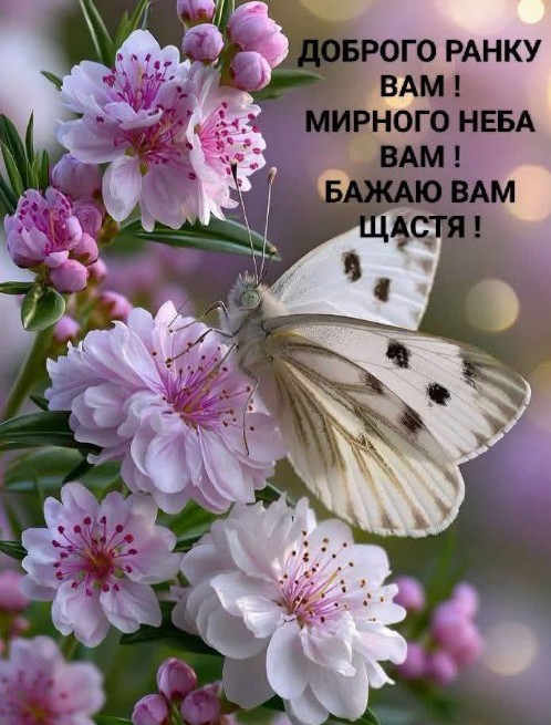 Доброго ранку та побажанням мирного неба