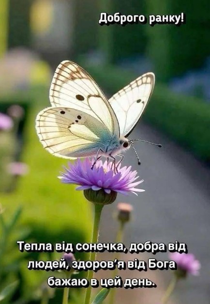 Доброго ранку з теплими побажаннями здоров'я і добра.