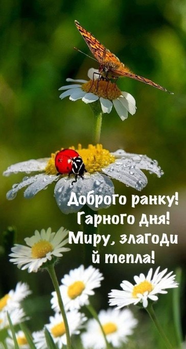 Красива листівка з побажанням доброго ранку