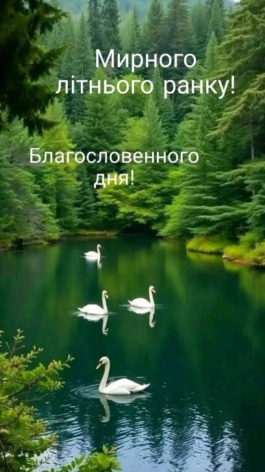 Листівка з побажанням Мирного літнього ранку та дня