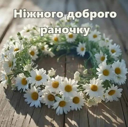 Ніжного доброго ранку
