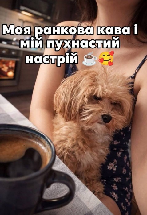 Ранкова кава та пухнастий настрій