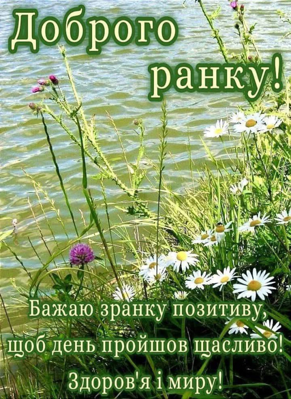 Красива листівка з побажанням доброго ранку, на фоні польові квіти та річка