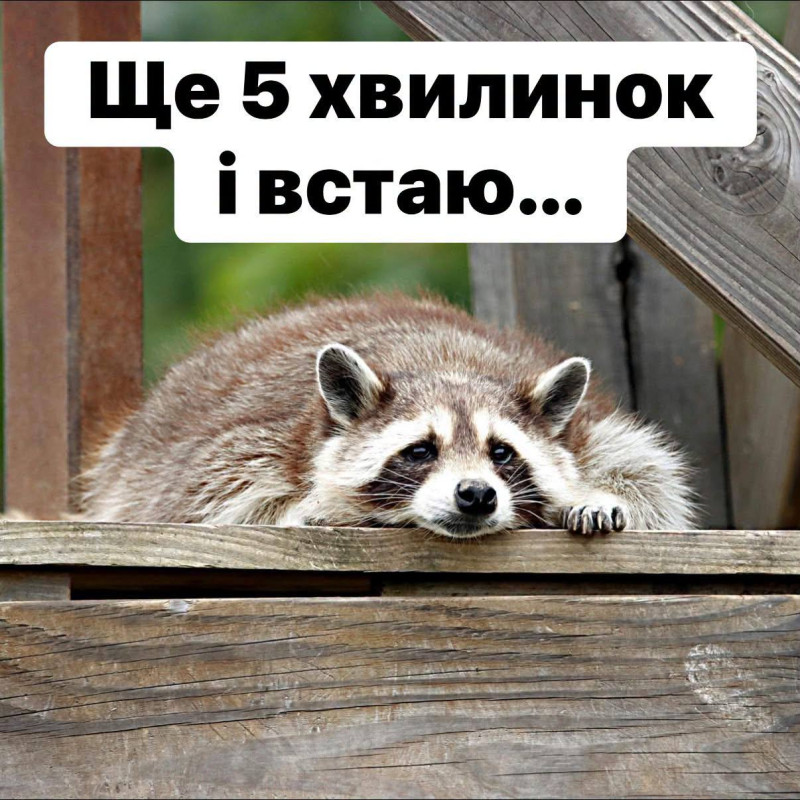 Листівка Ще 5 хвилинок і встаю