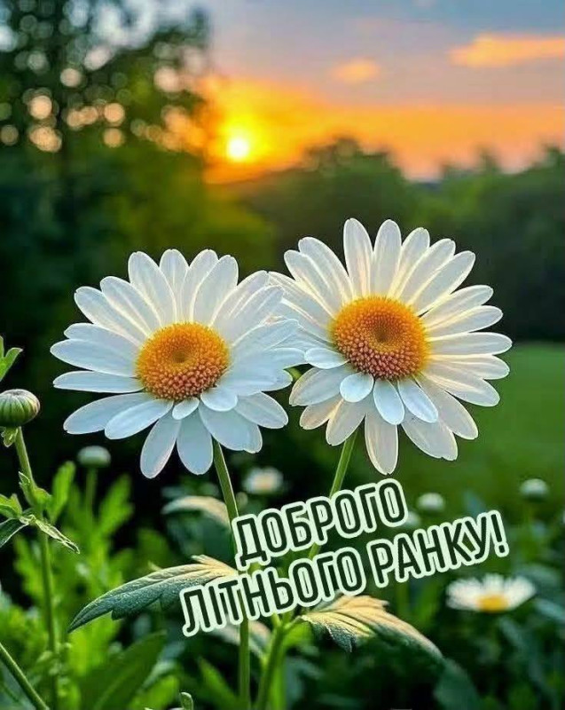 Листівка Доброго літнього ранку