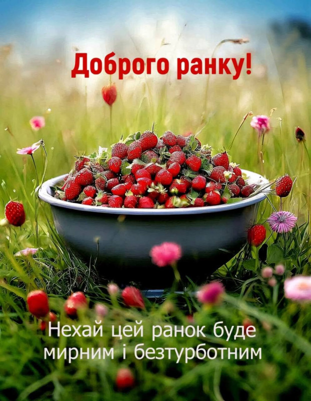 Побажанням мирного й безтурботного ранку.