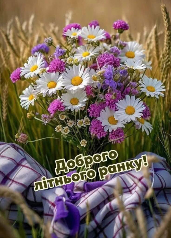Листівка Доброго літнього ранку з ромашками та колоссям