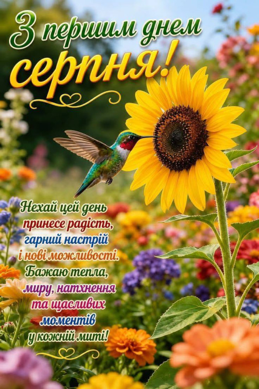 Листівка З першим днем серпня: соняшник та колібрі