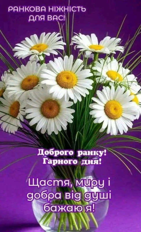 Листівка Доброго ранку: ніжний букет ромашок