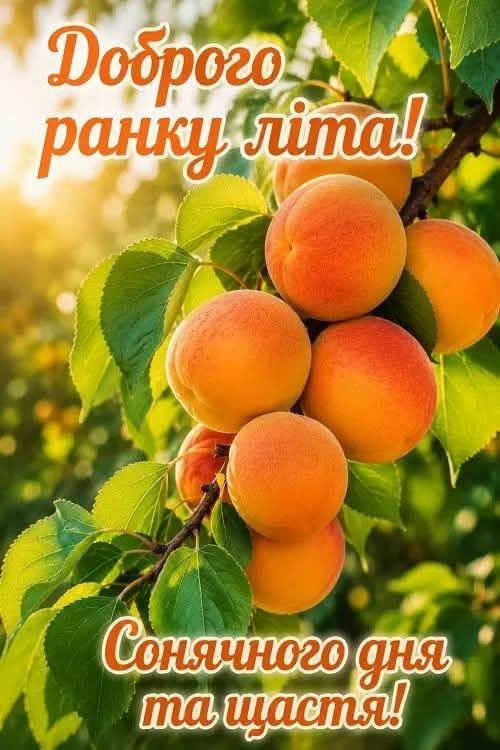 Листівка Доброго ранку літа — побажання гарного дня
