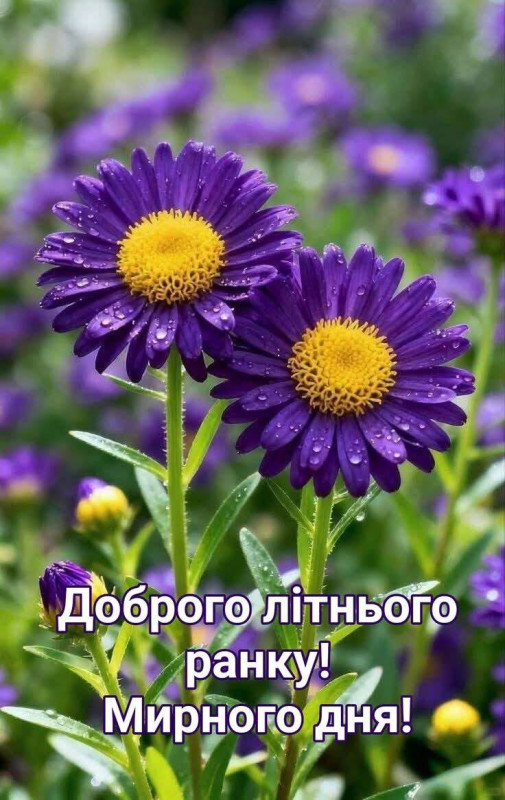 Листівка з побажанням доброго літнього ранку та мирного дня
