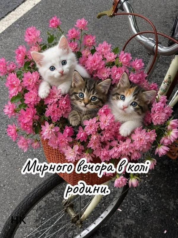 Листівка Мирного вечора в колі родини.