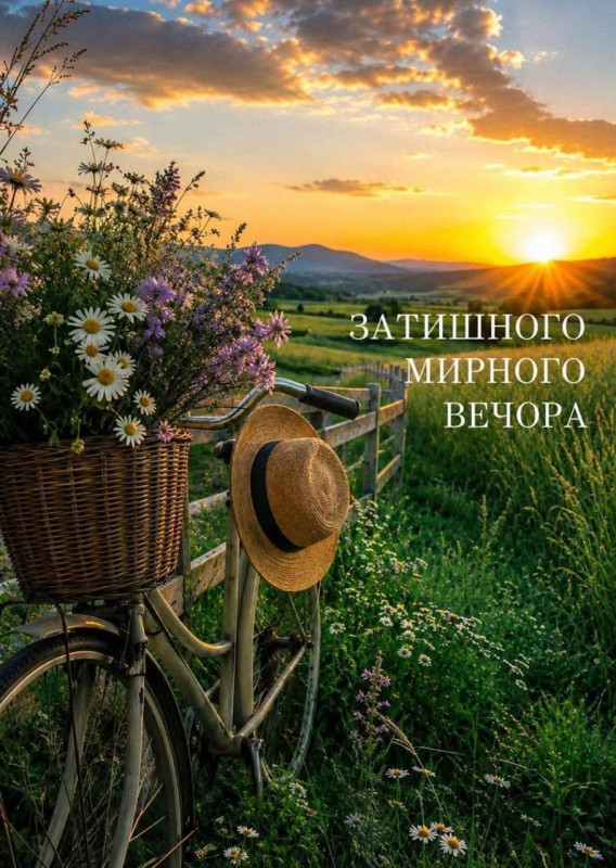 Листівка Затишного мирного вечора з велосипедом та квітами